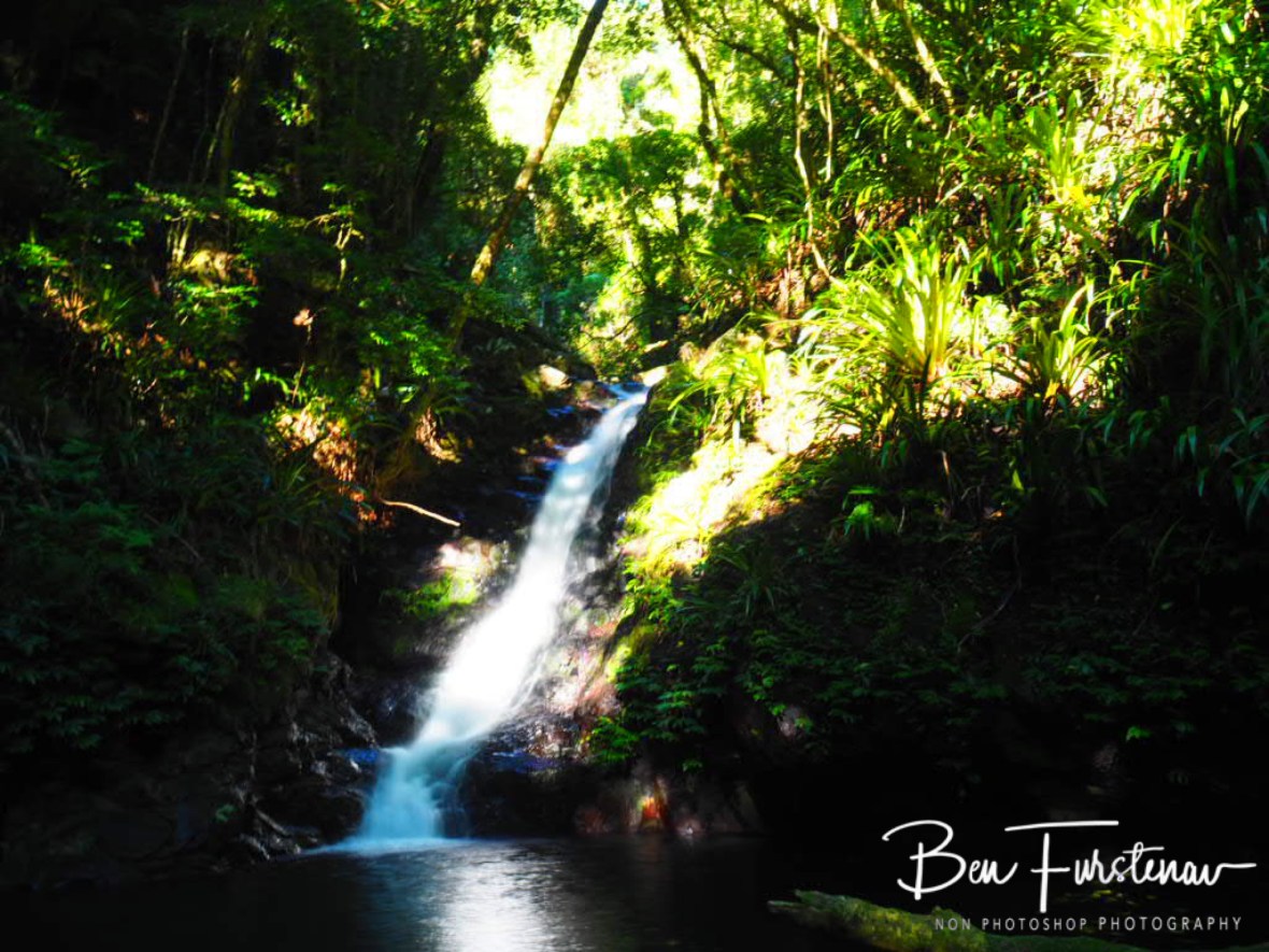 Spectacular day in the woods at  Lamington National Park, Queensland, Australia 