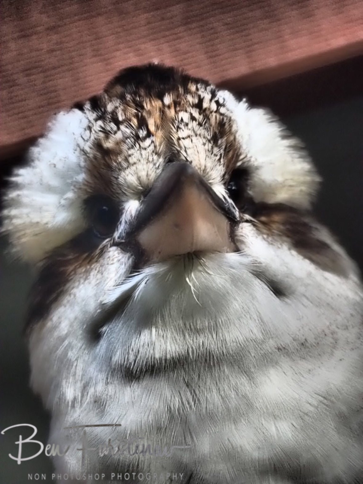 All cracked out, Queensland, Australia