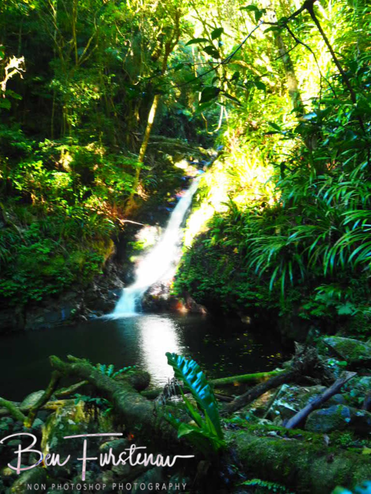 Bahnamboola Falls in early morning sunlight st Lamington National Park, Queensland, Australia
