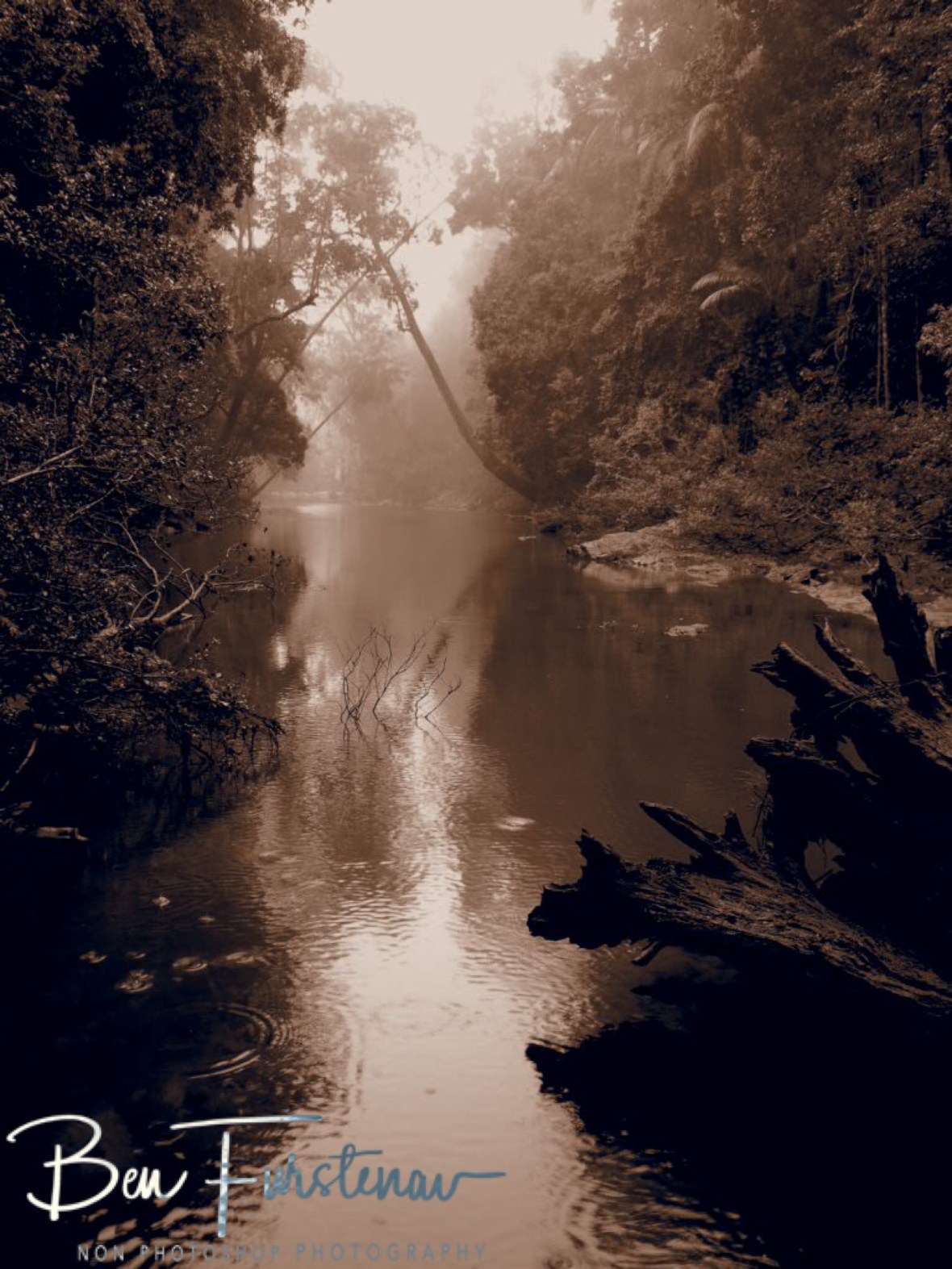 Breathtaking experience at Eungalla National Park, Queensland, Australia