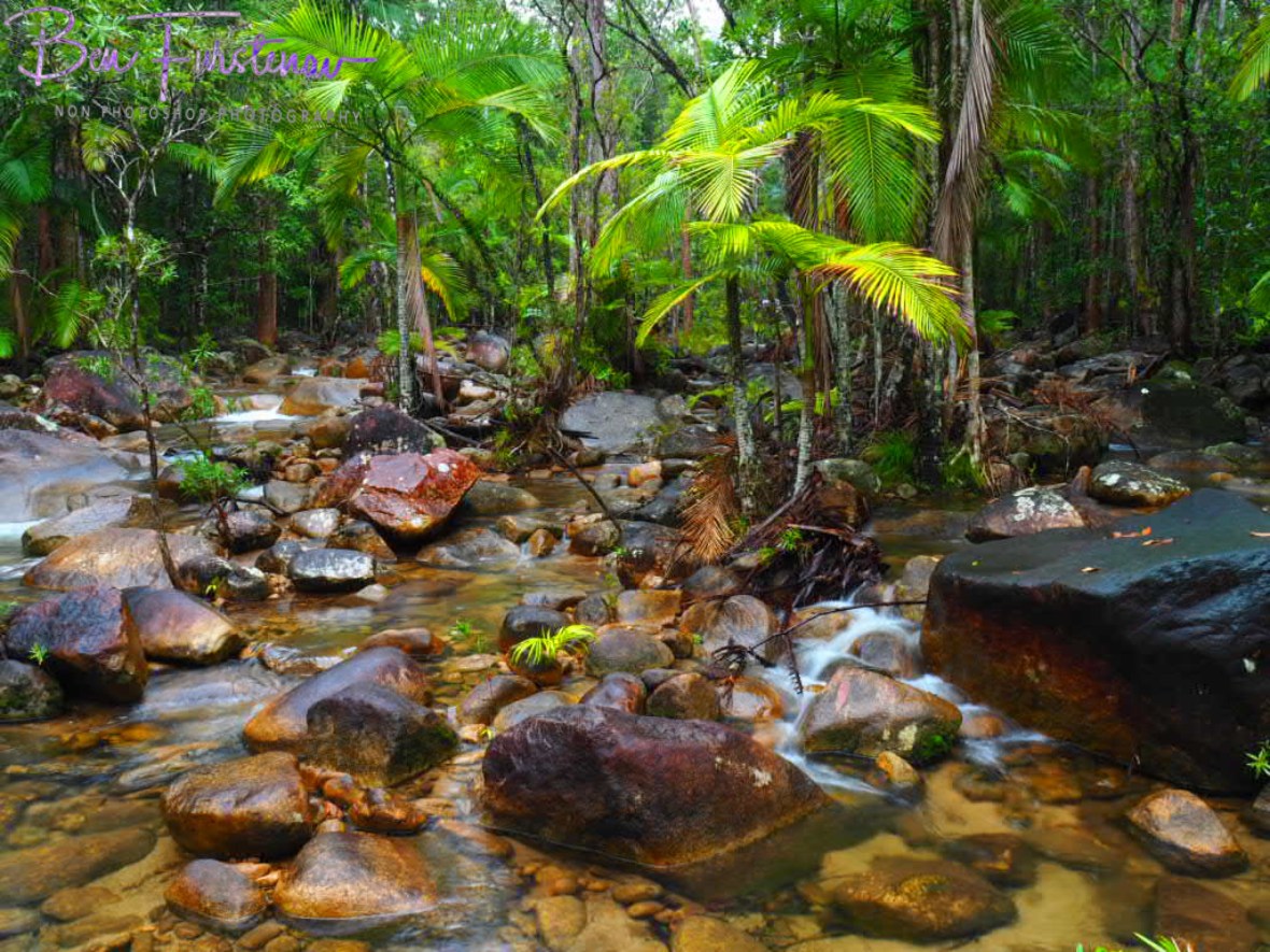 A typical scene along Finch Hatton Creek at Eungalla National Park, Queensland, Australia