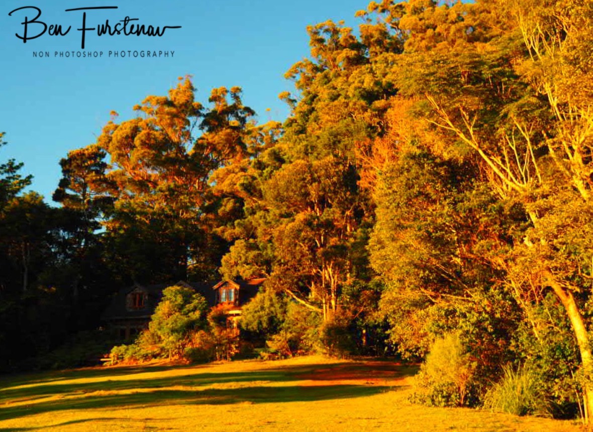 Binna Burra Cafe and Restaurant at the edge of Lamington National Park, Queensland, Australia
