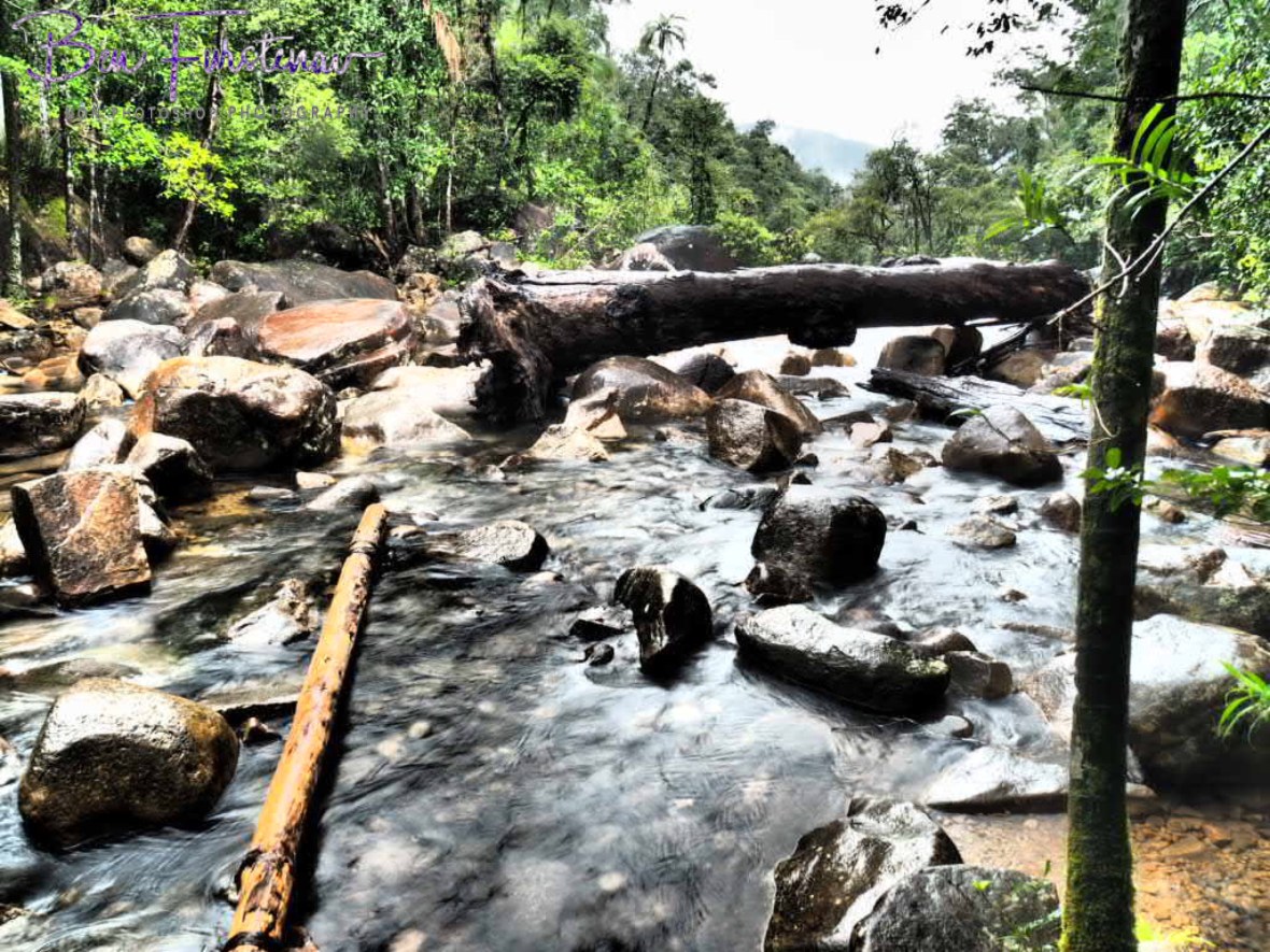 I cross the bridge when I find it, at Finch Hatton Gorge, Eungalla National Park, Queensland, Australia 