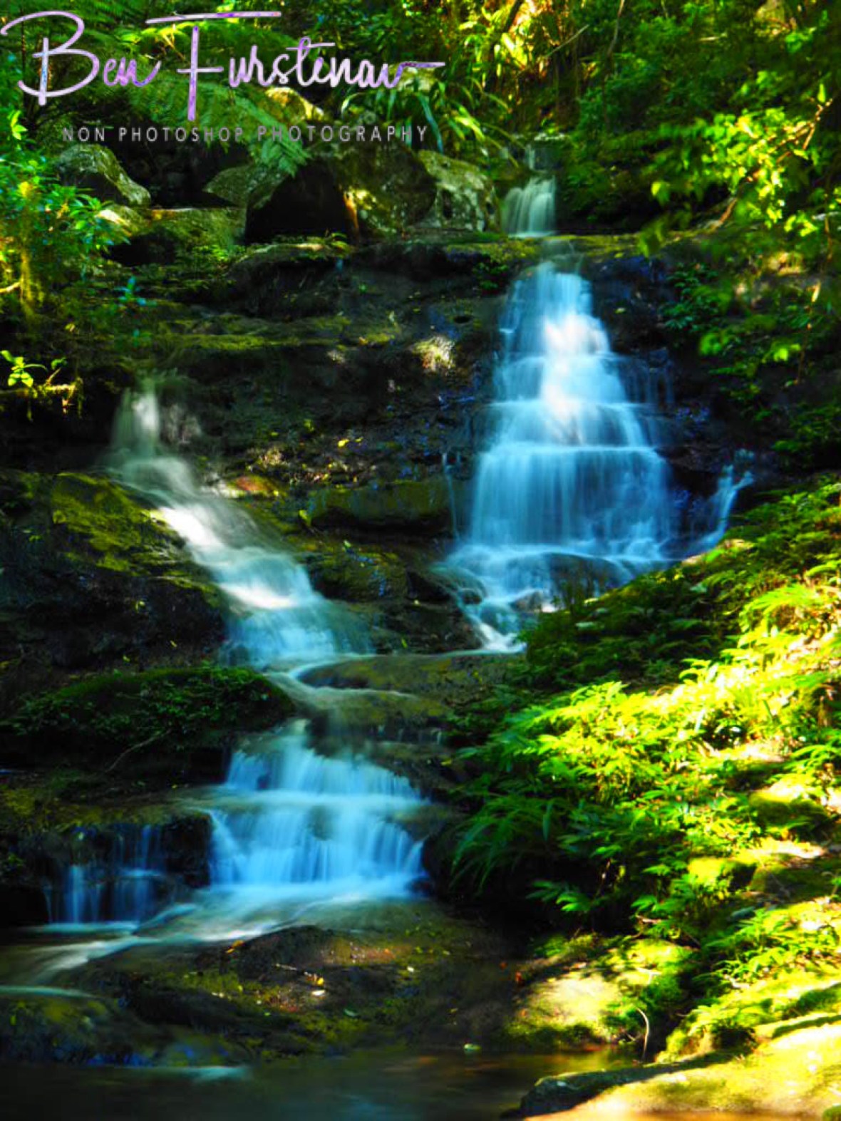 Waterfalls, creeks and forest greens at Lamington National Park, Queensland, Australia 