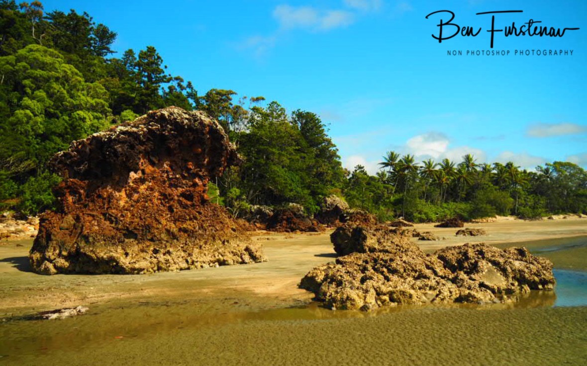 Coming from Wedge Island at Cape Hillsborough, Queensland, Australia