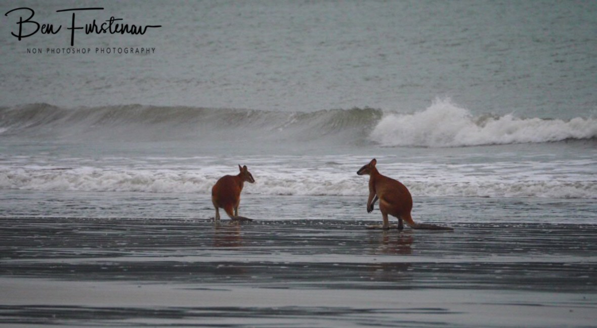 Caught in a rip at Cape Hillsborough, Queensland, Australia