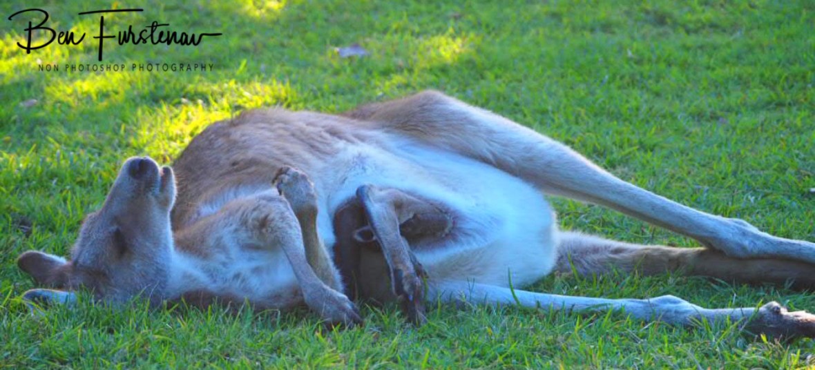 Oh it’s nice to lie down, Woody Head, New South Wales, Australia