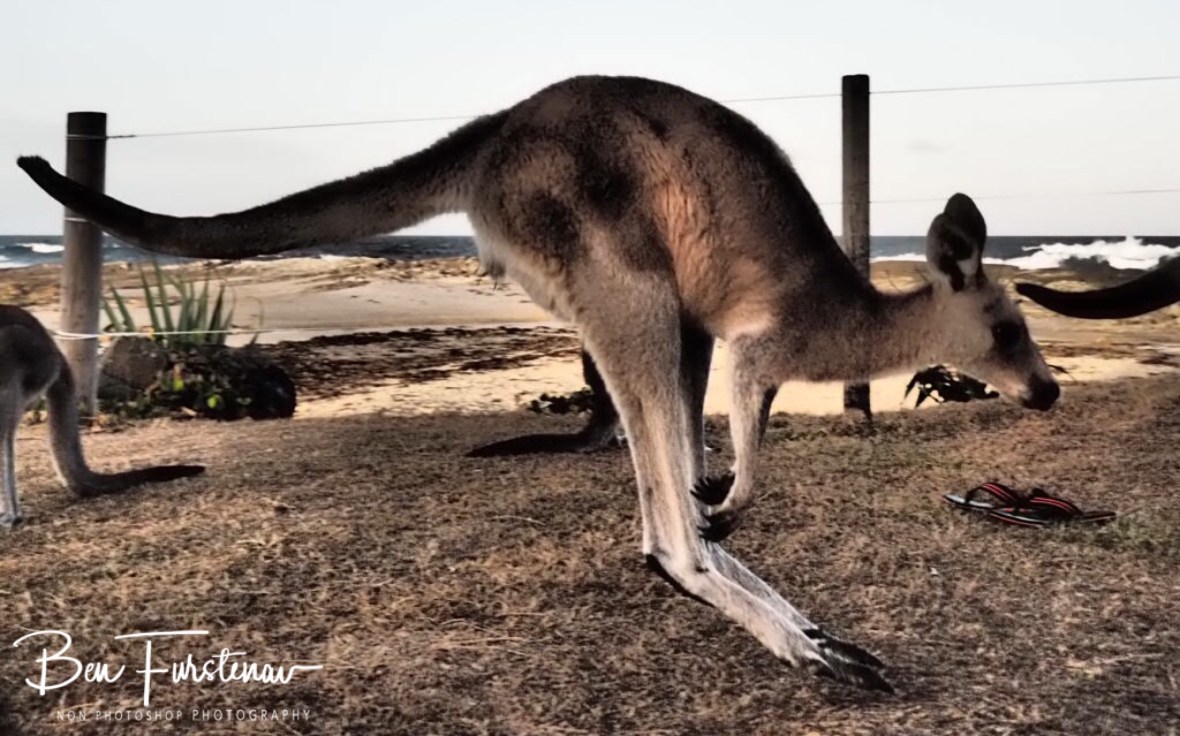 Airplane symbol at Woody Head, New South Wales, Australia 