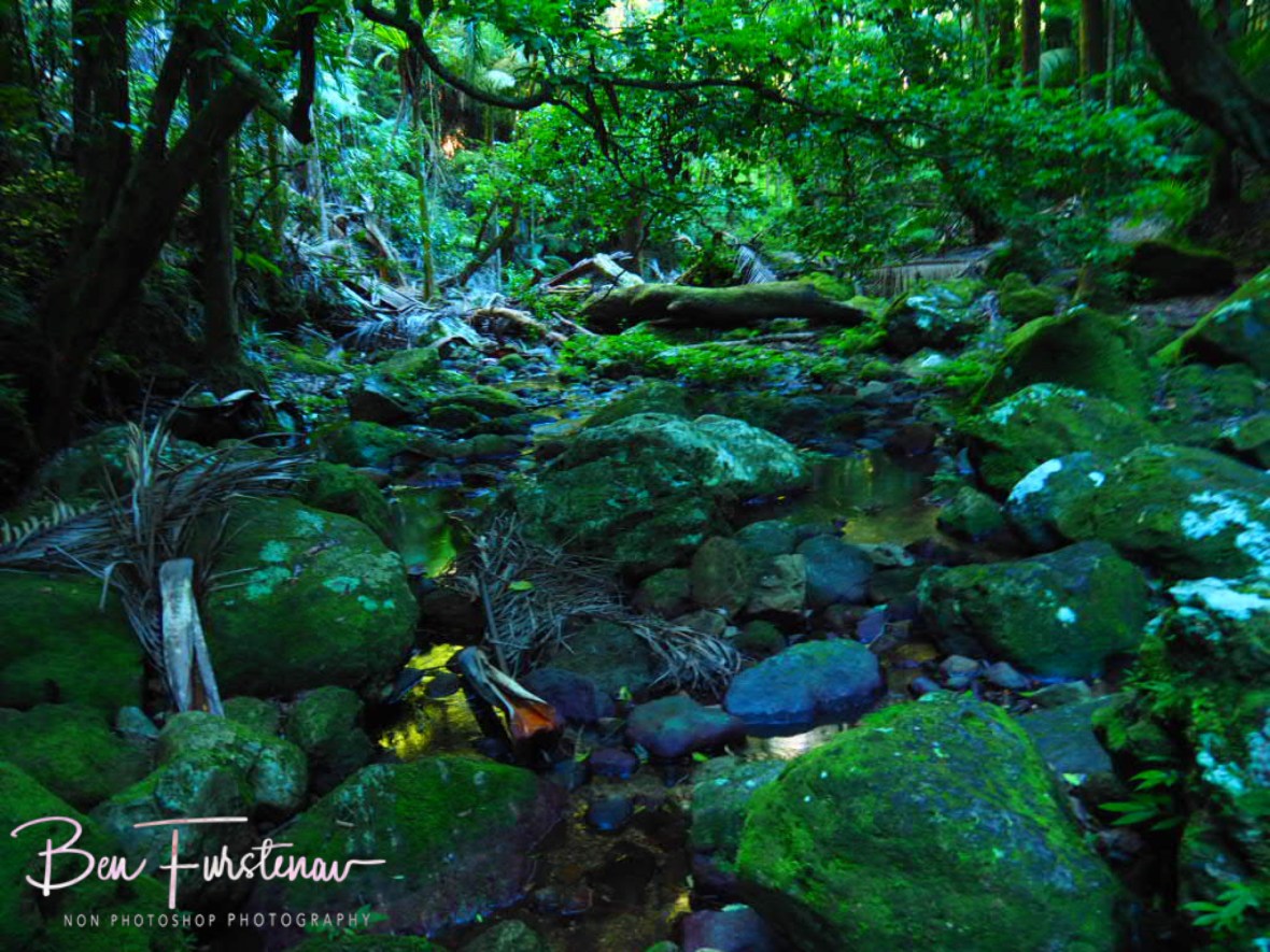 Ballanjui Creek in full colour at Lamington National Park, Queensland, Australia