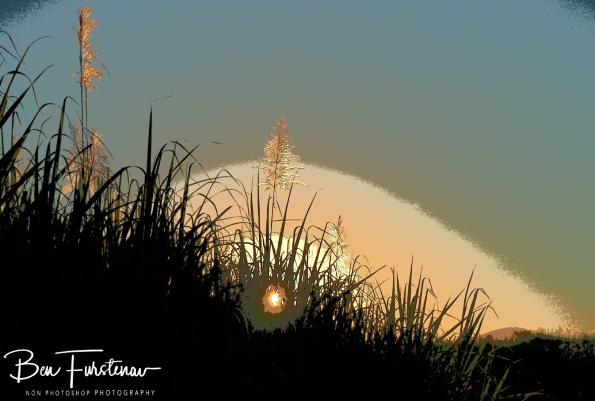 Sugarcane all the way to the mountains, Mackay Region, Queensland, Australia