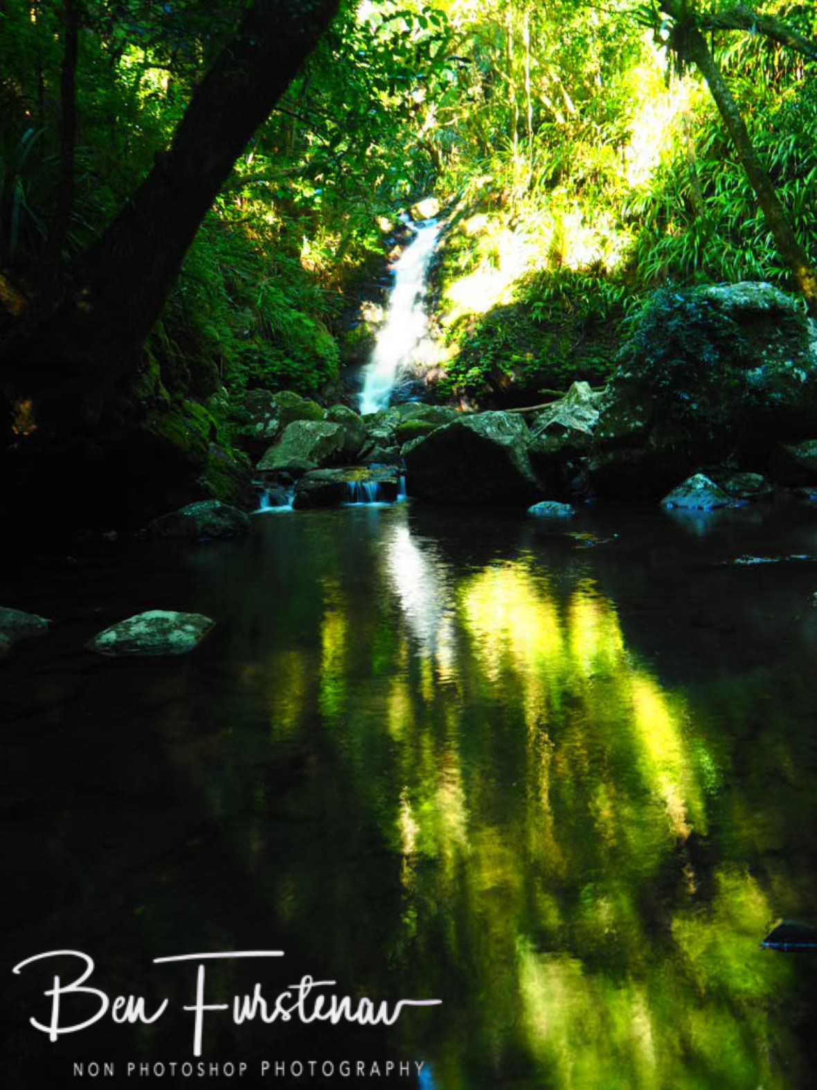 Golden reflections at Lamington National Park, Queensland, Australia 