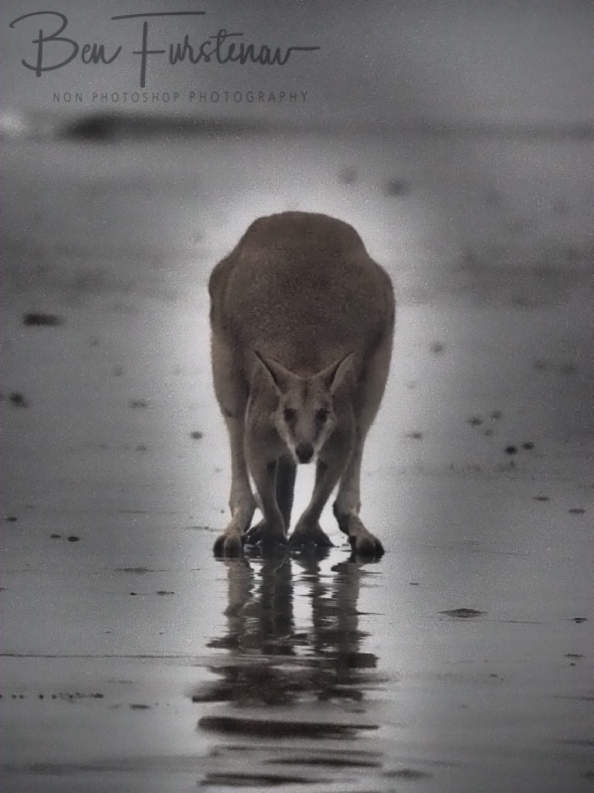 Ground zero at Cape Hillsborough, Queensland, Australia