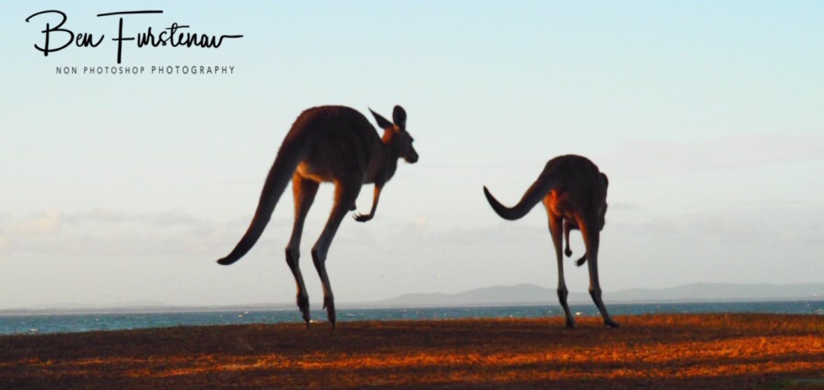 Iconic Australian scene at Woody Head, New South Wales, Australia