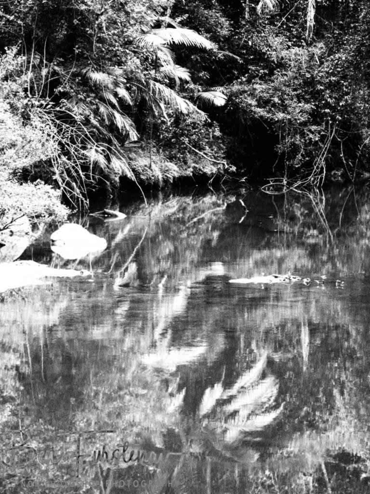 Stunning reflections in black and white at Eungalla National Park, Queensland, Australia 