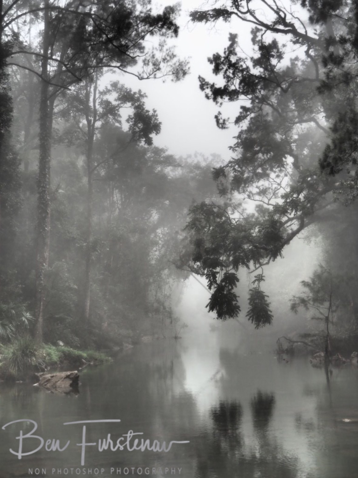 Spooky experience at Eungalla National Park, Queensland, Australia