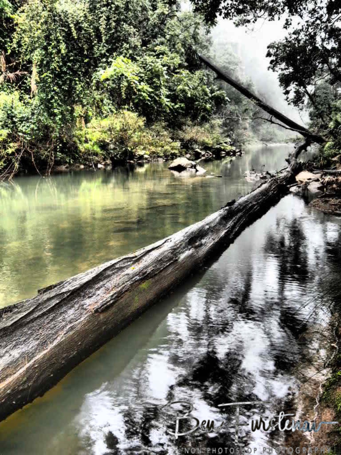 Clouds moving in at Eungalla National Park, Queensland, Australia