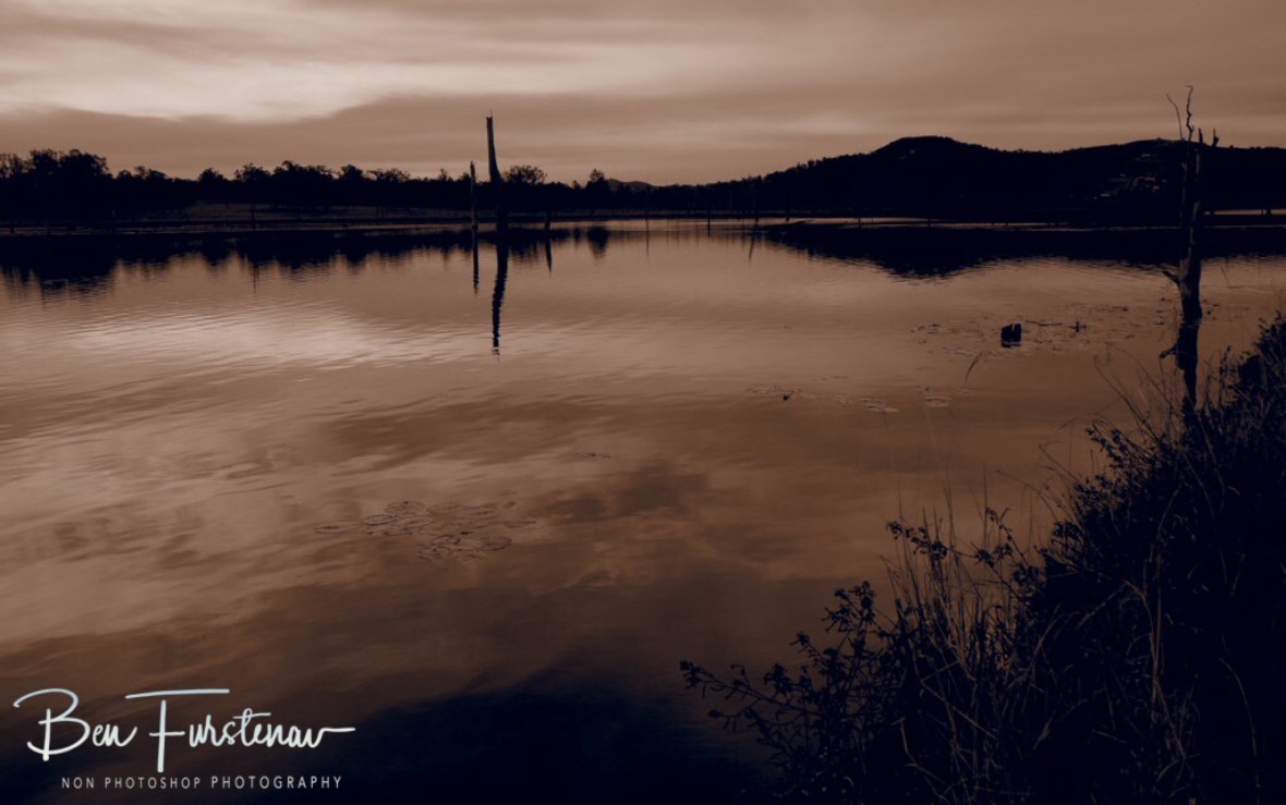 Calm reflections in sepia at Lake Somerset, Queensland, Australia