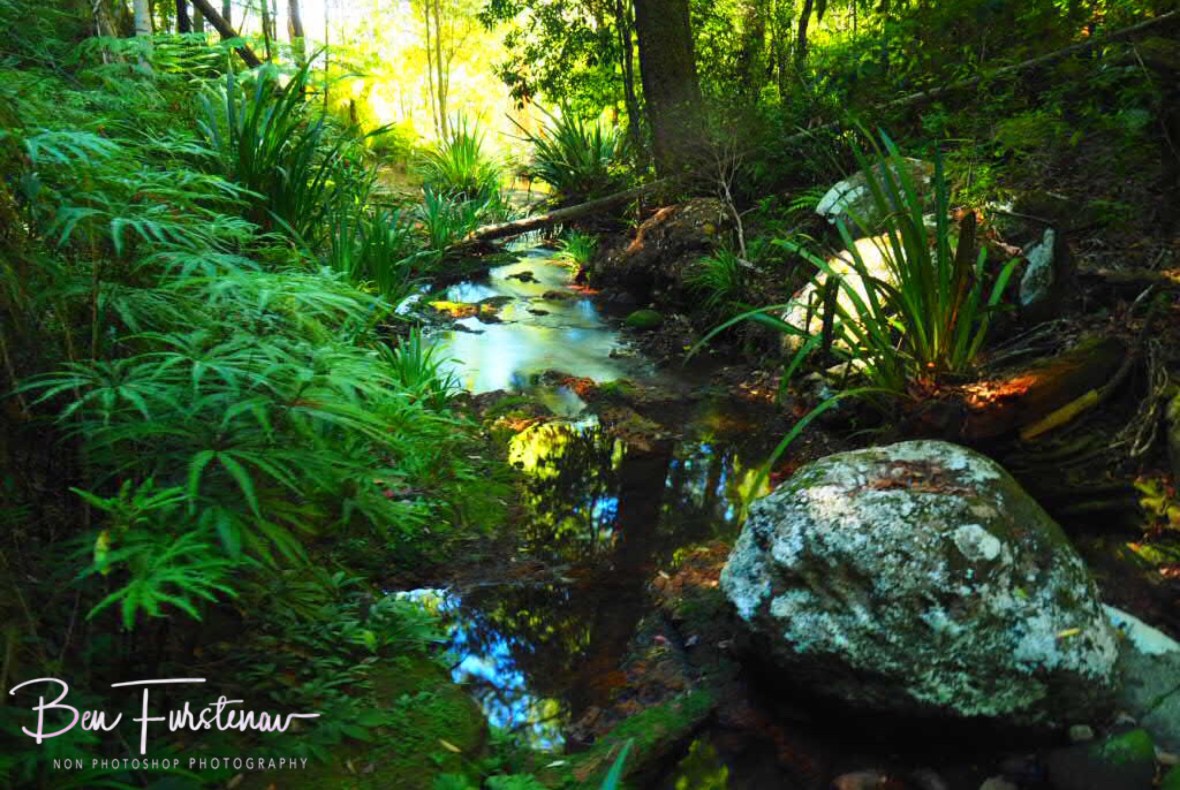 Ballanjui Creek at Lamington National Park, Queensland, Australia
