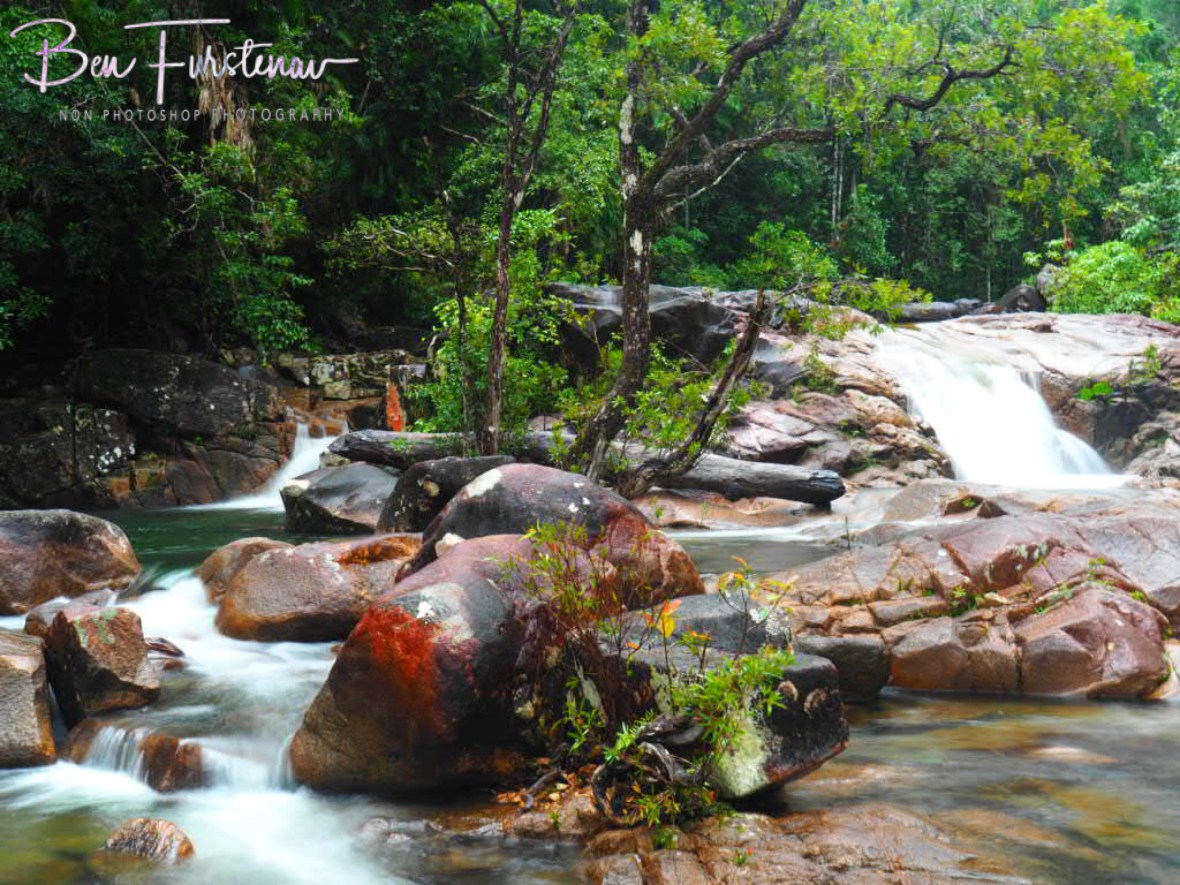 Divided Finch Hatton Creek at Eungalla National Park, Queensland, Australia 