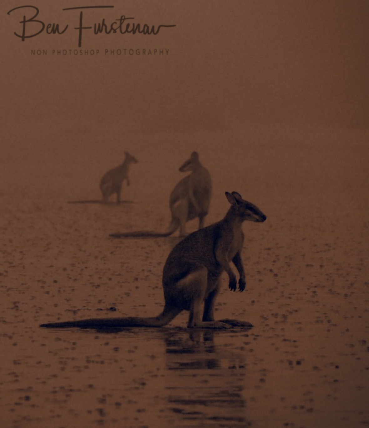 Looking at all directions at Cape Hillsborough, Queensland, Australia