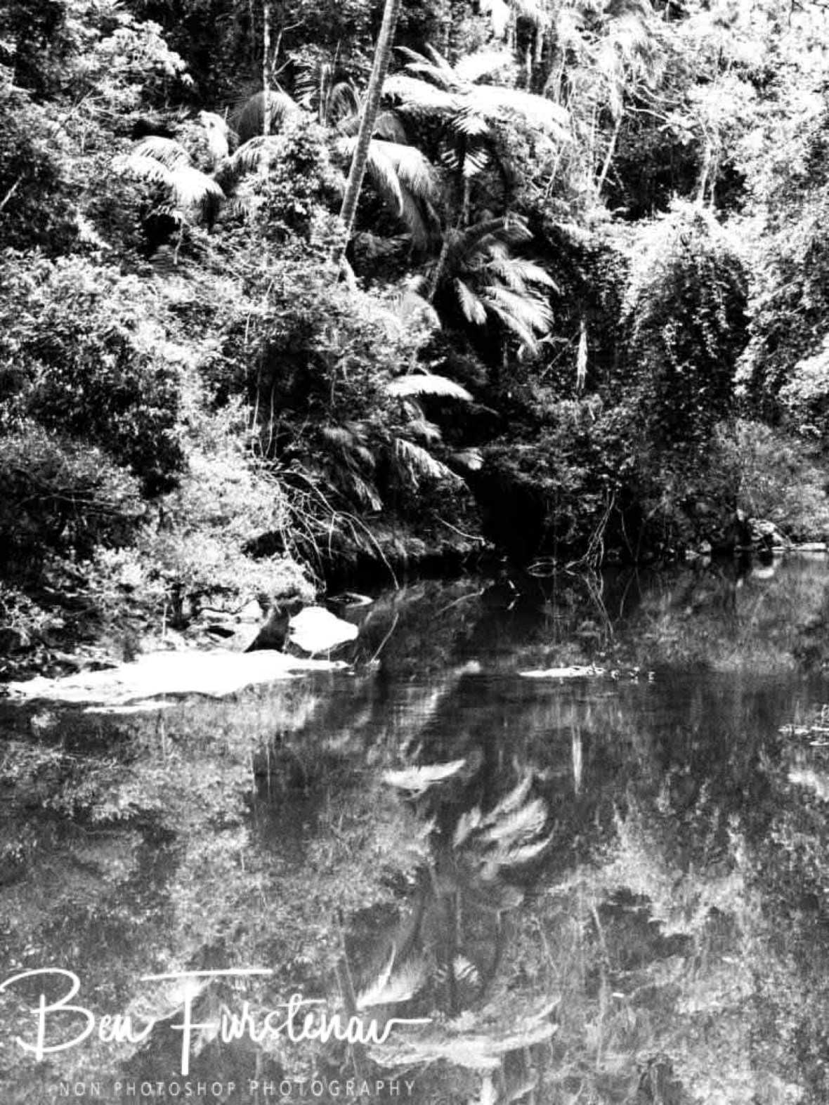Monochrome reflections at Eungalla National Parks, Queensland, Australia 