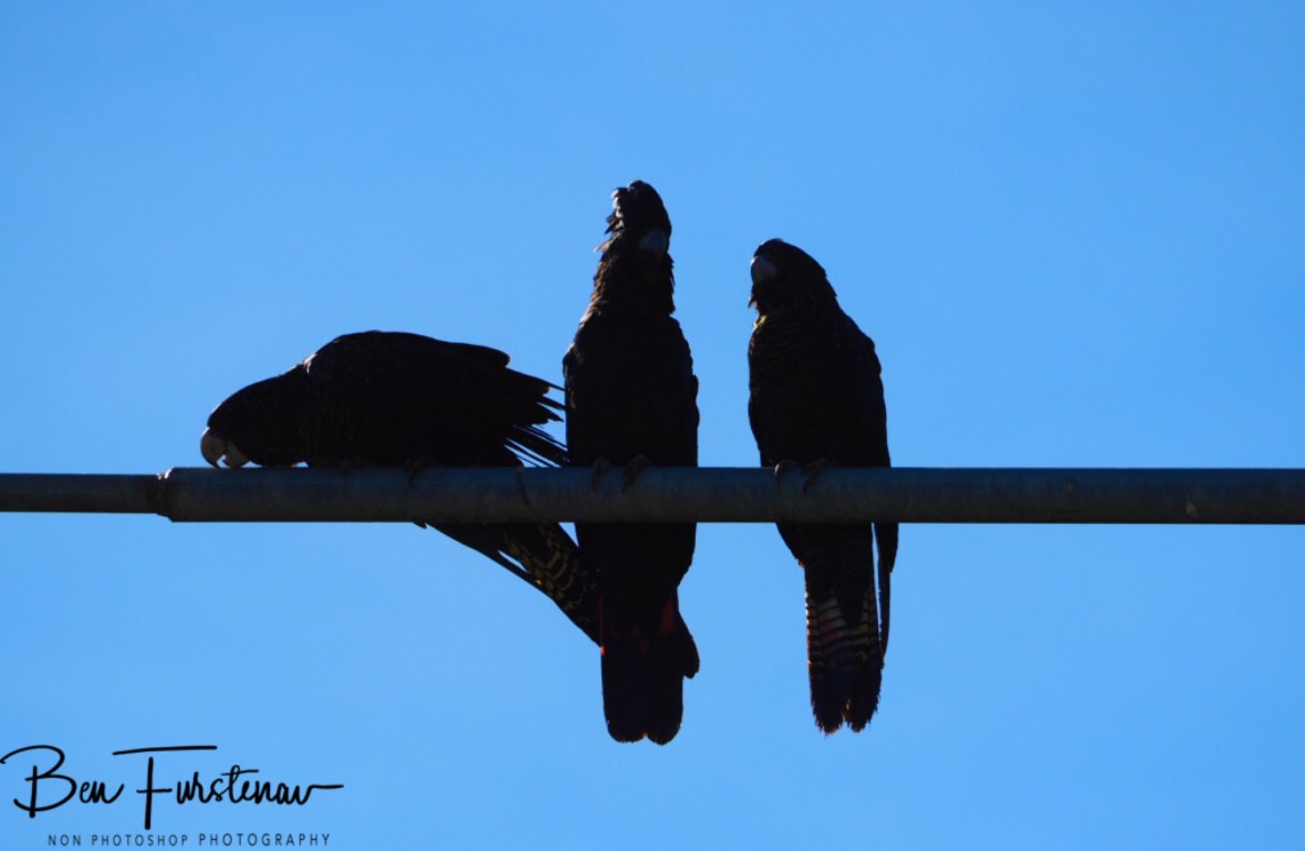 Moving on, Townsville, Queensland, Australia 