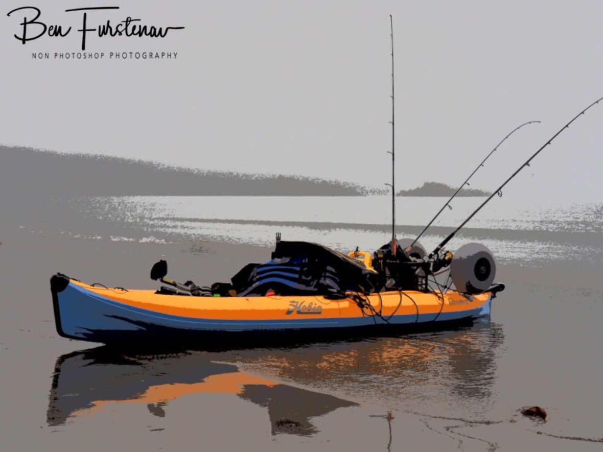 Early morning yak reflections at Cape Hillsborough, Queensland, Australia 