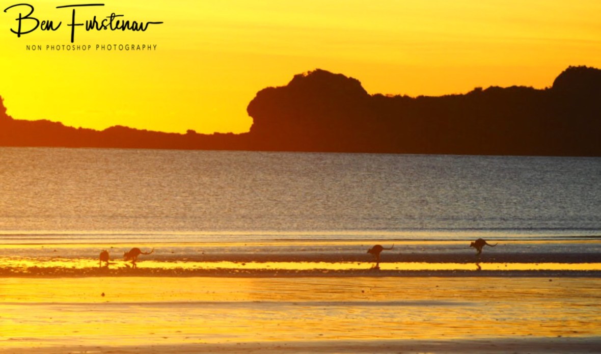 Too far off for a great reflection photo at Cape Hillsborough, Queensland, Australia 