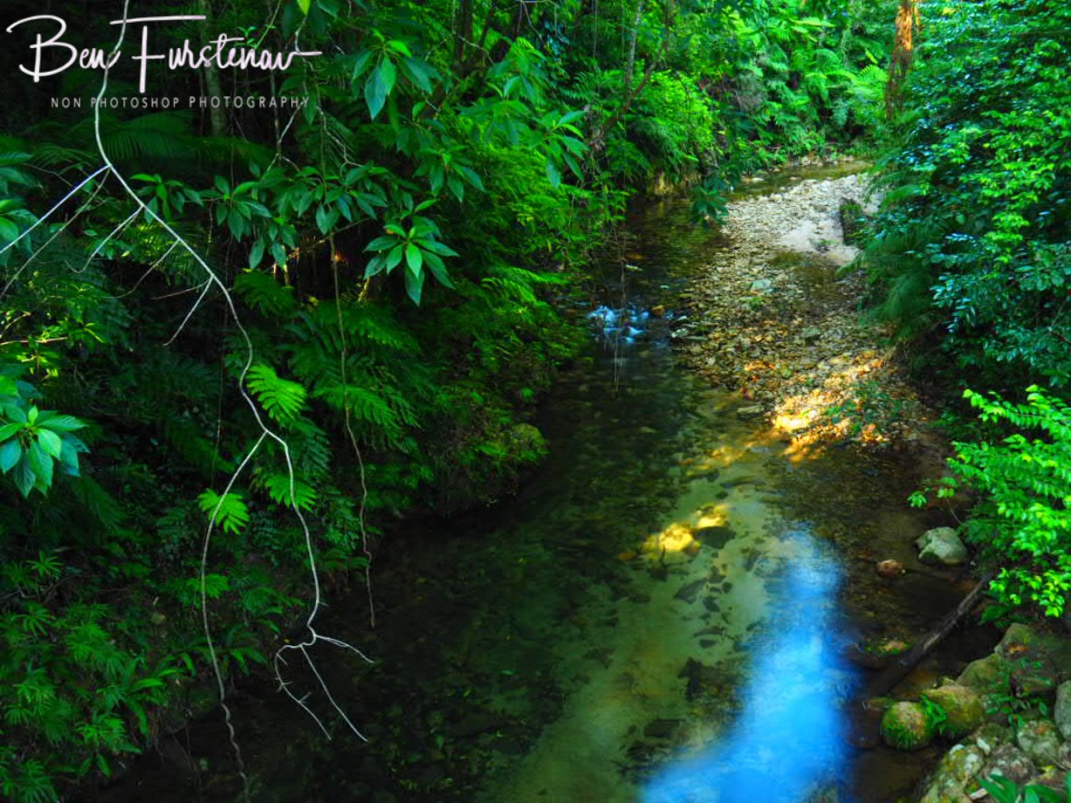 Crystal creek and it’s lush vegetation, Northern Queensland, Australia