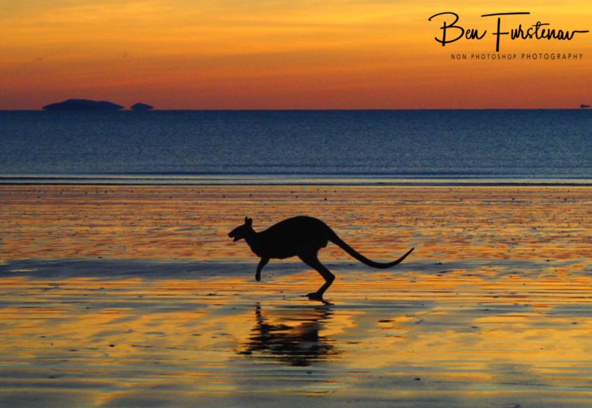 Hopping in to the sunrise at Cape Hillsborough, Queensland, Australia 