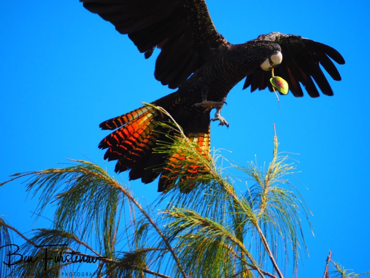 Change of scenery in Townsville, Queensland, Australia