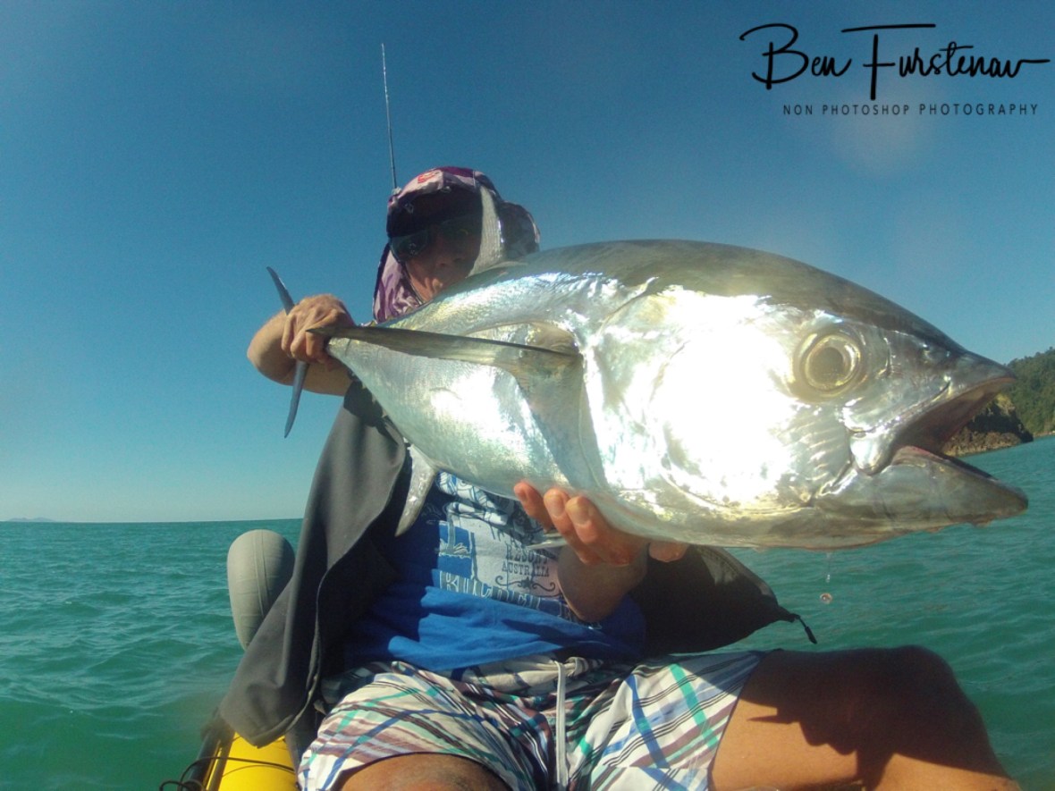 Silver bullet loaded to release at Cape Hillsborough, Queensland, Australia 