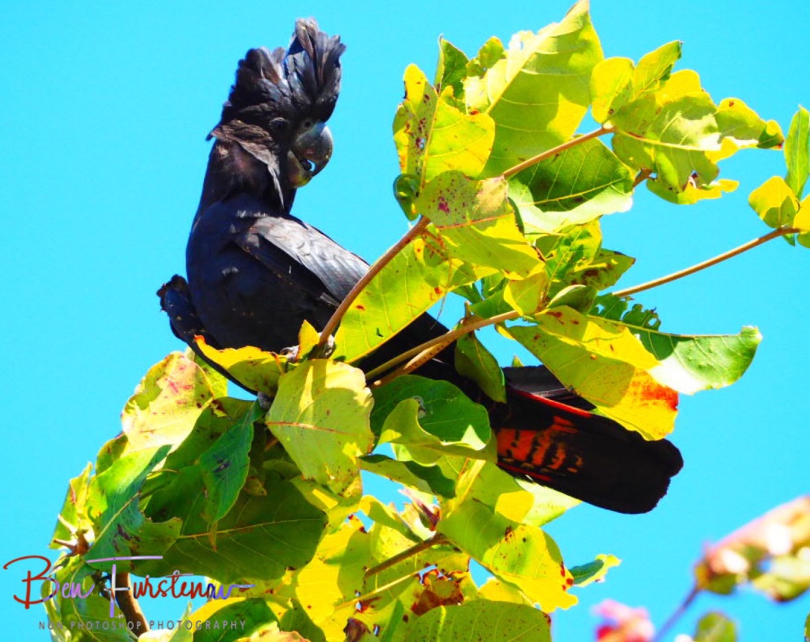 Where is everyone? Townsville, Queensland, Australia 