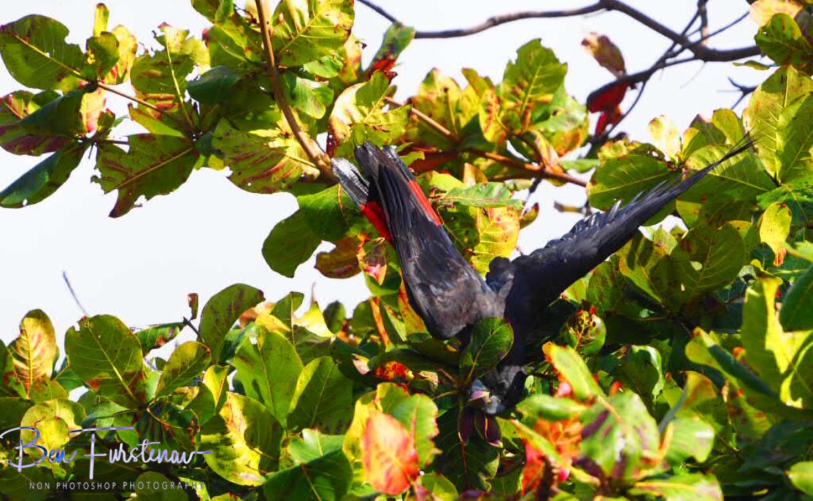 Shaky conditions up high in Townsville, Queensland, Australia 