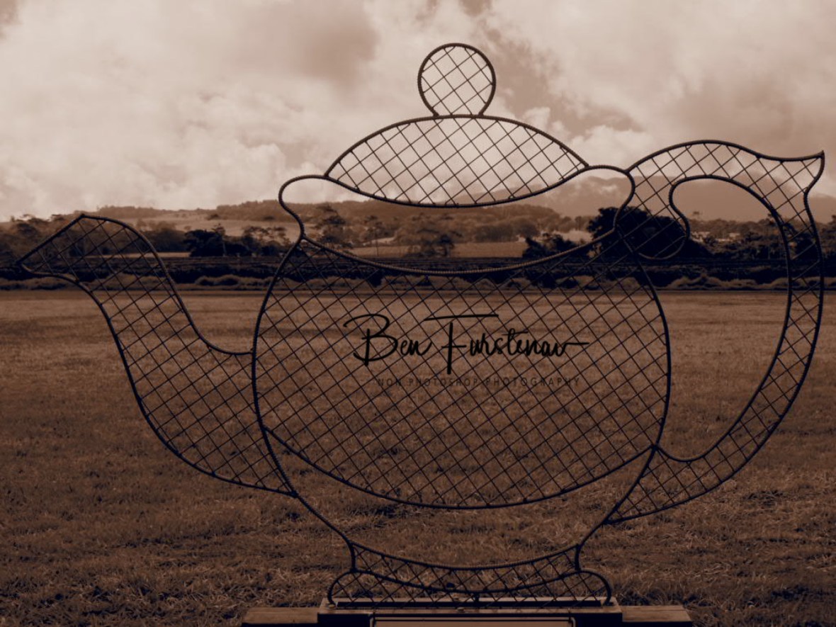 Cupcake tea anyone? Nerada Tea Estate, Atherton Tablelands, Queensland, Australia 