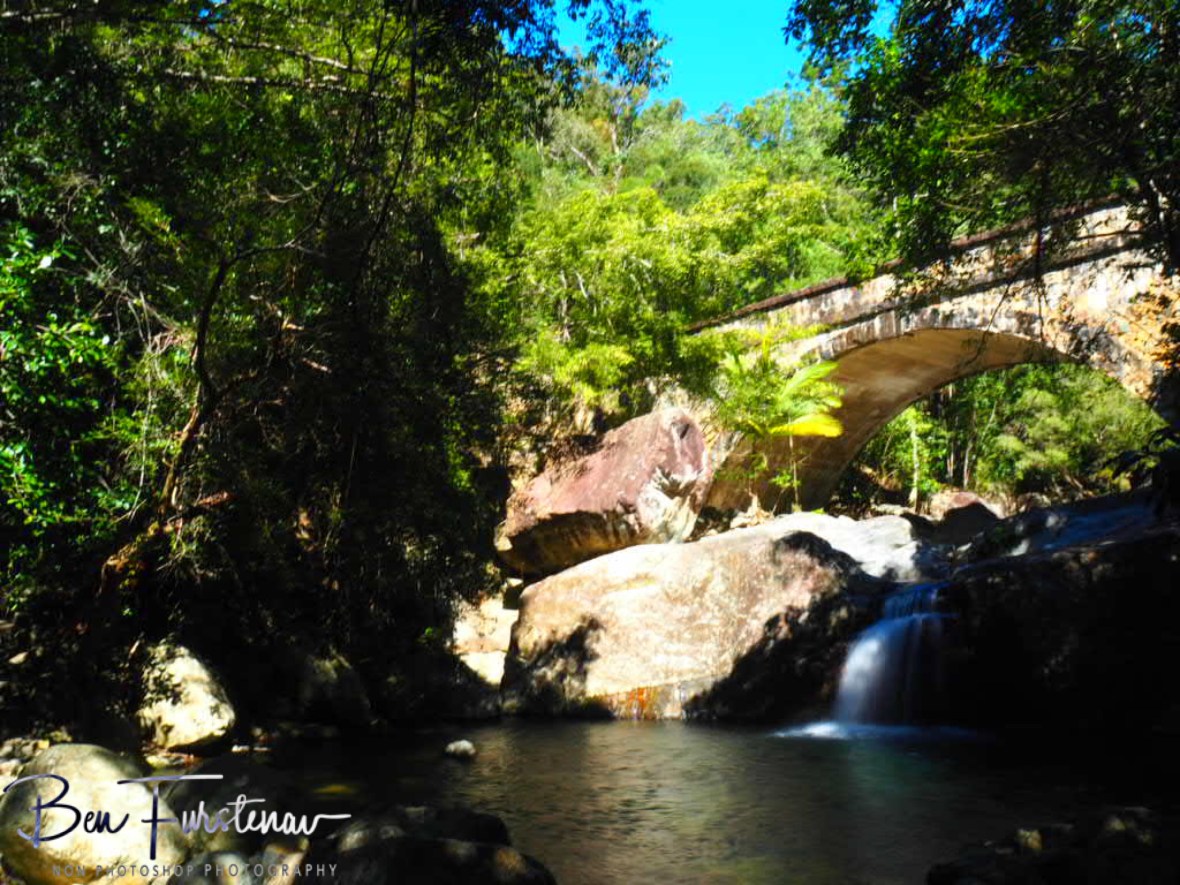 Perfect ambush scenario at Little Crystal Creek, Northern Queensland, Australia 