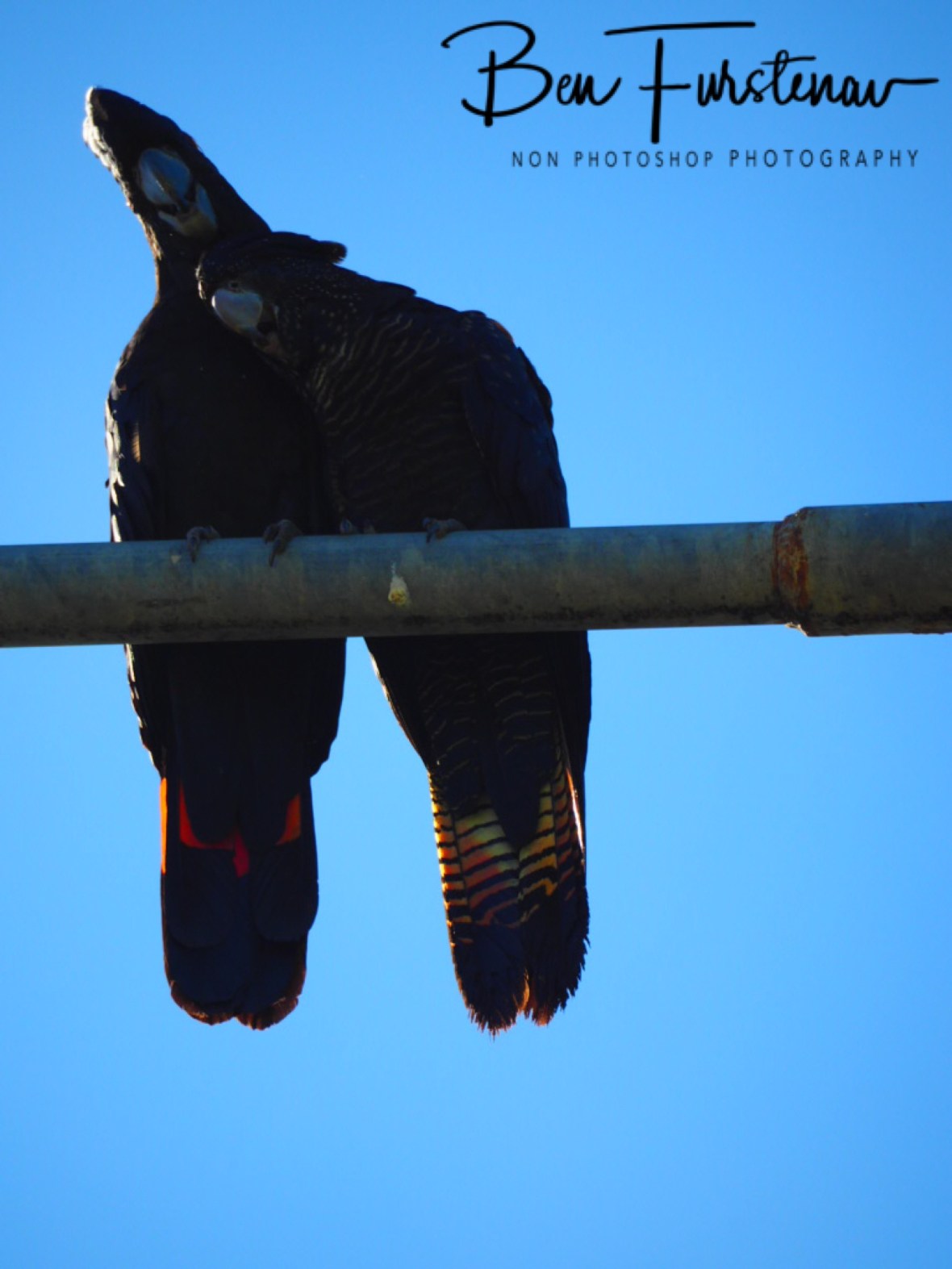 Happy couple in Townsville, Queensland, Australia 