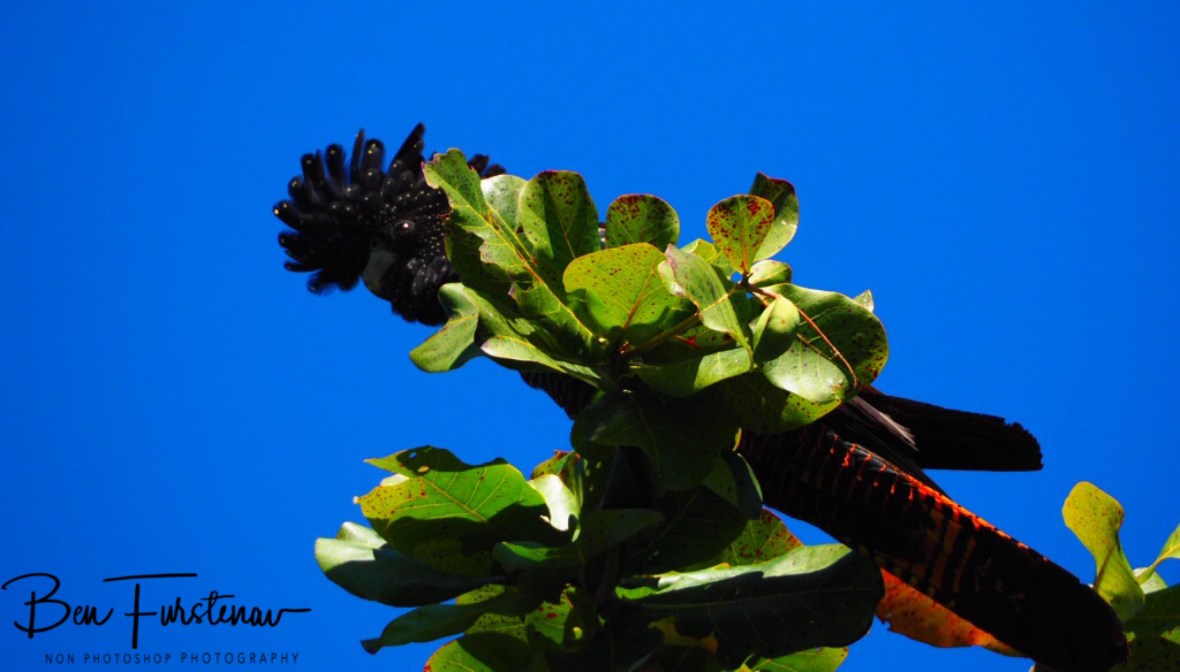 Rich colours all around in Townsville, Queensland, Australia