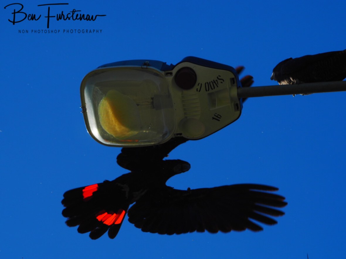 Successful return, Townsville, Queensland, Australia