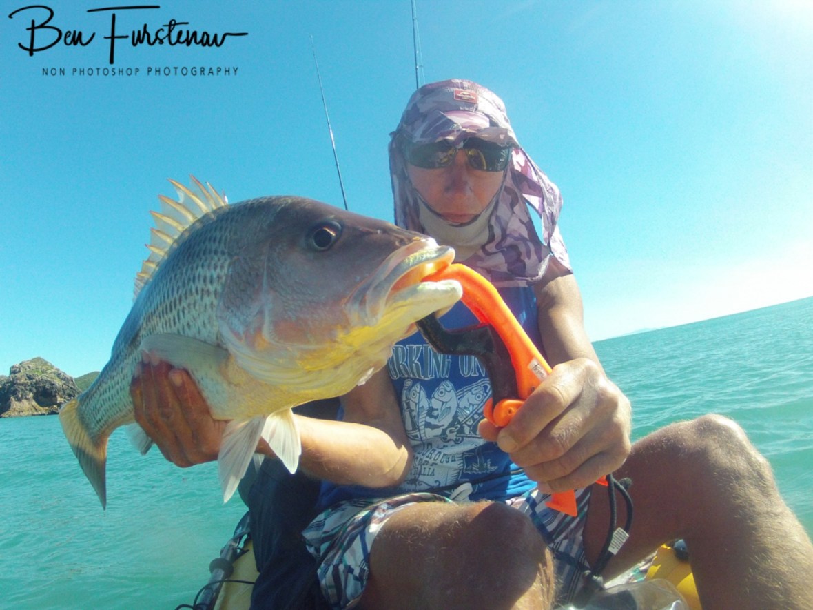 A delicious table fare, Cape Hillsborough, Queensland, Australia 