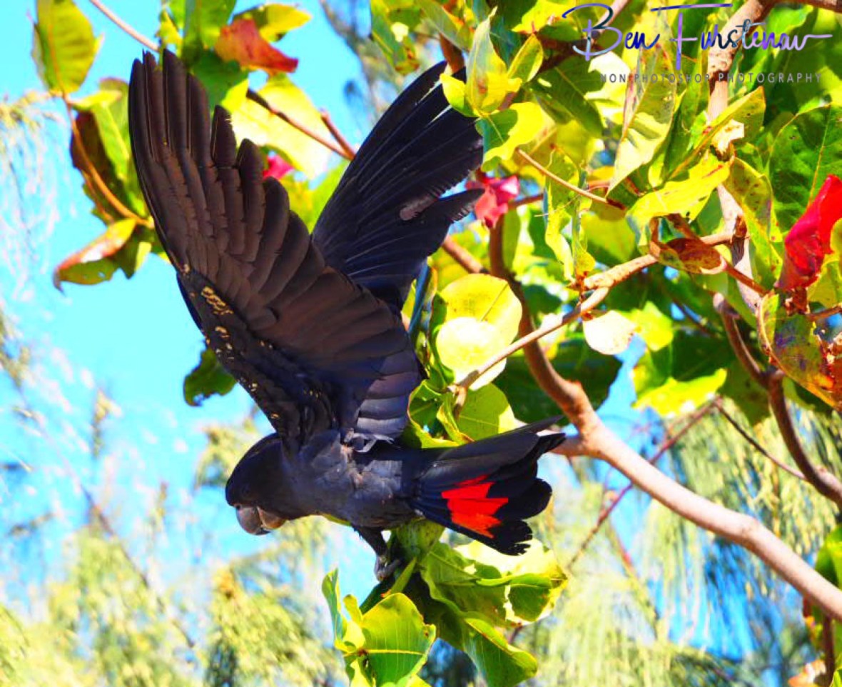 Ready for takeoff in Townsville, Queensland, Australia 