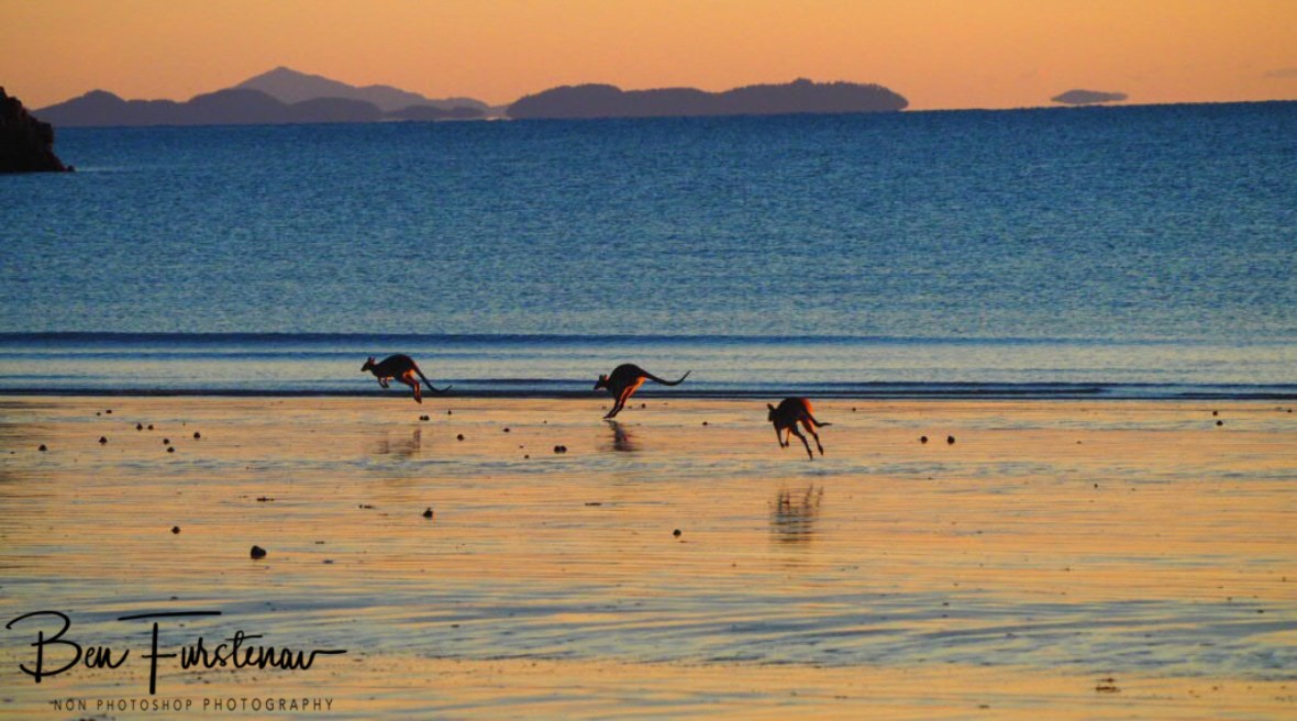 Three steps of skipping at Cape Hillsborough, Queensland, Australia 