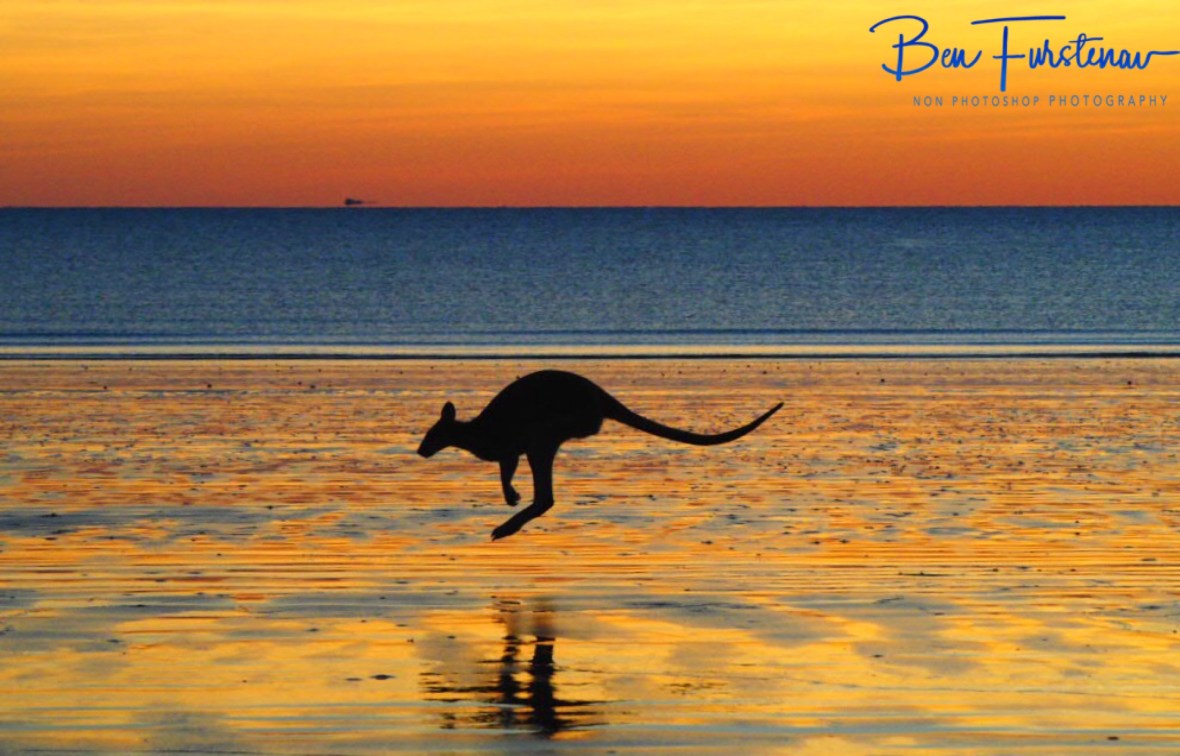 Almost perfect at Cape Hillsborough, Queensland, Australia 