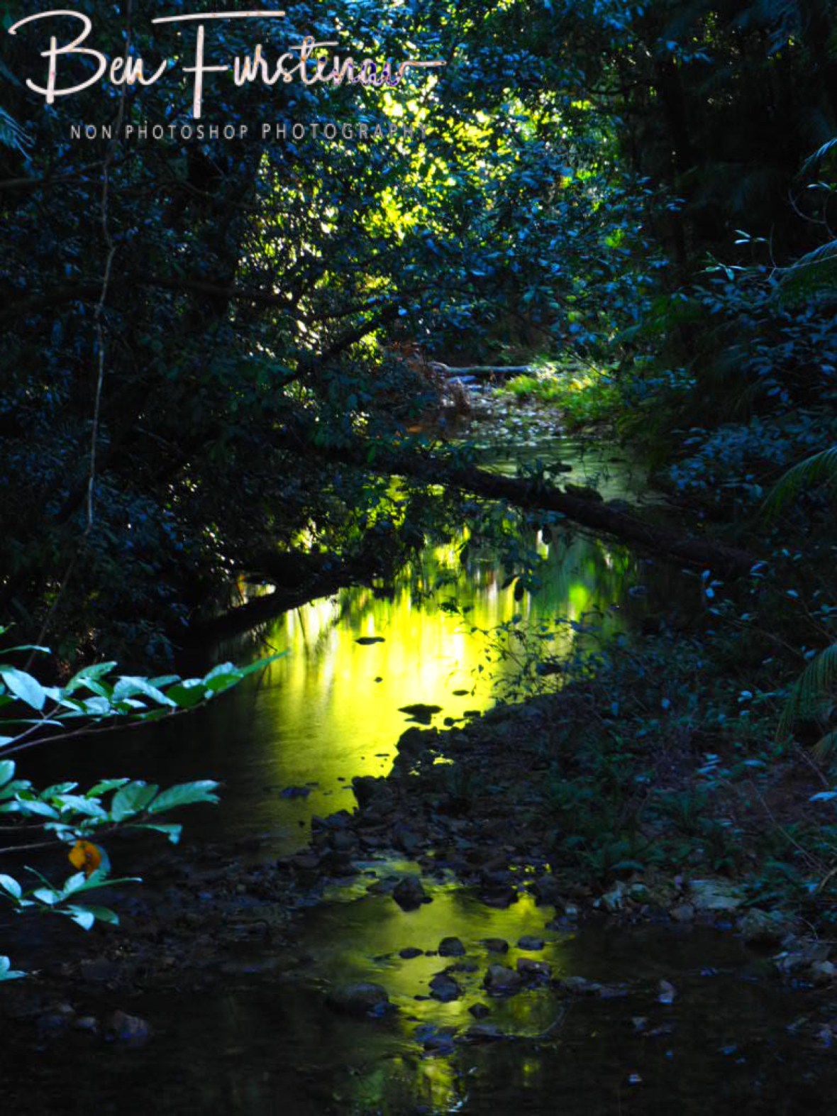 In peace with nature at Little Crystal Creek, Northern Queensland, Australia  