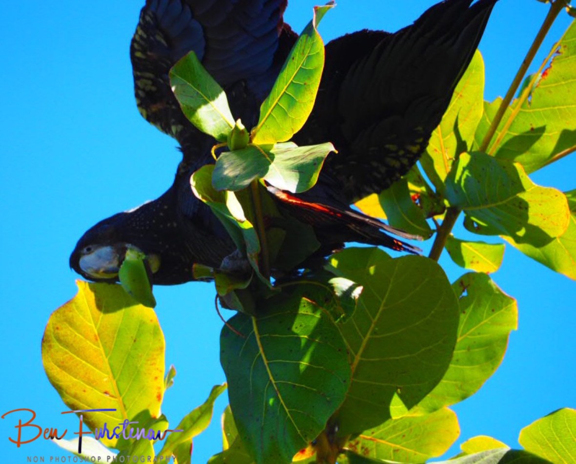 Drop stop in Townsville, Queensland, Australia