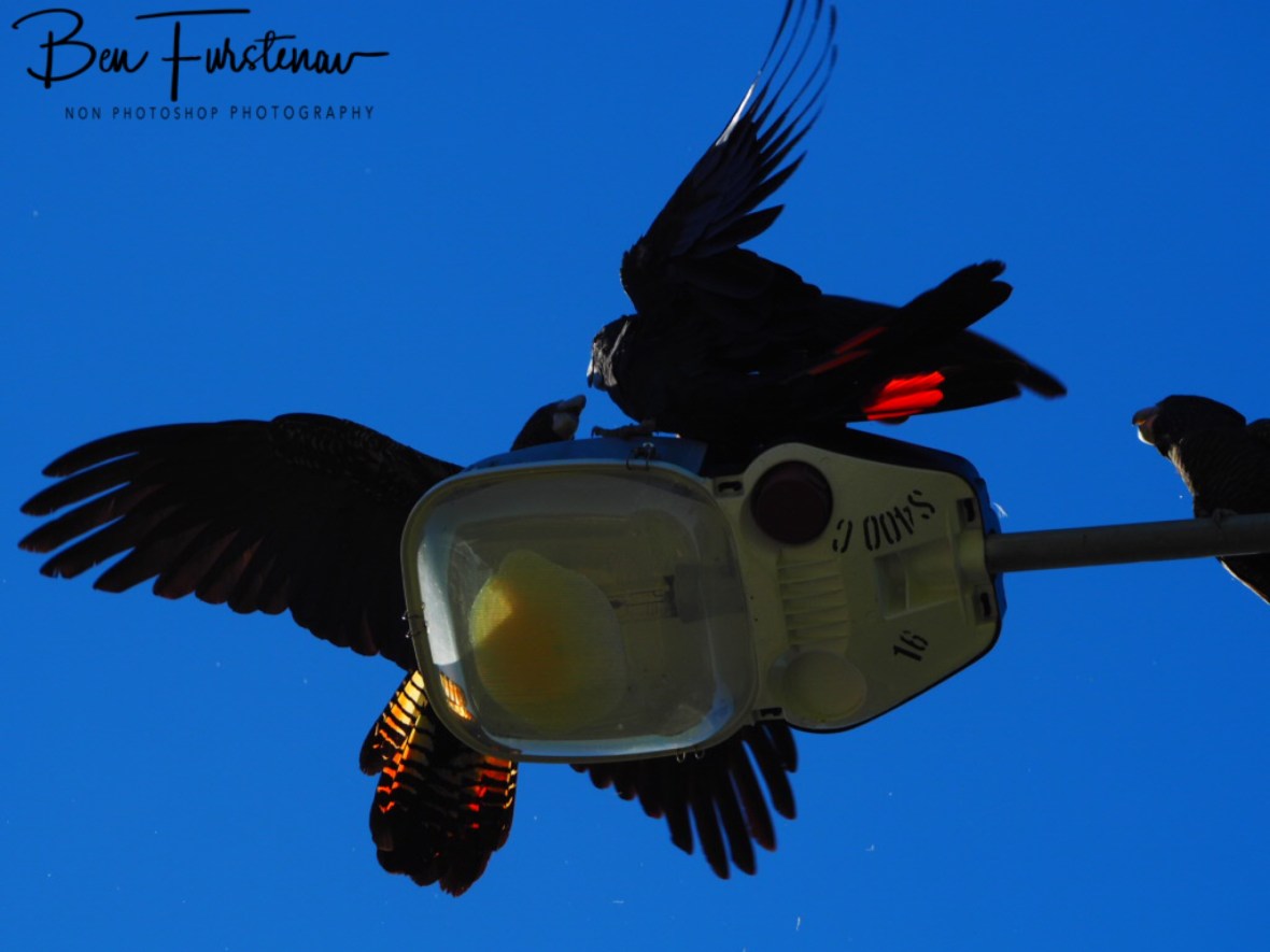 The final battle in Townsville, Queensland, Australia 