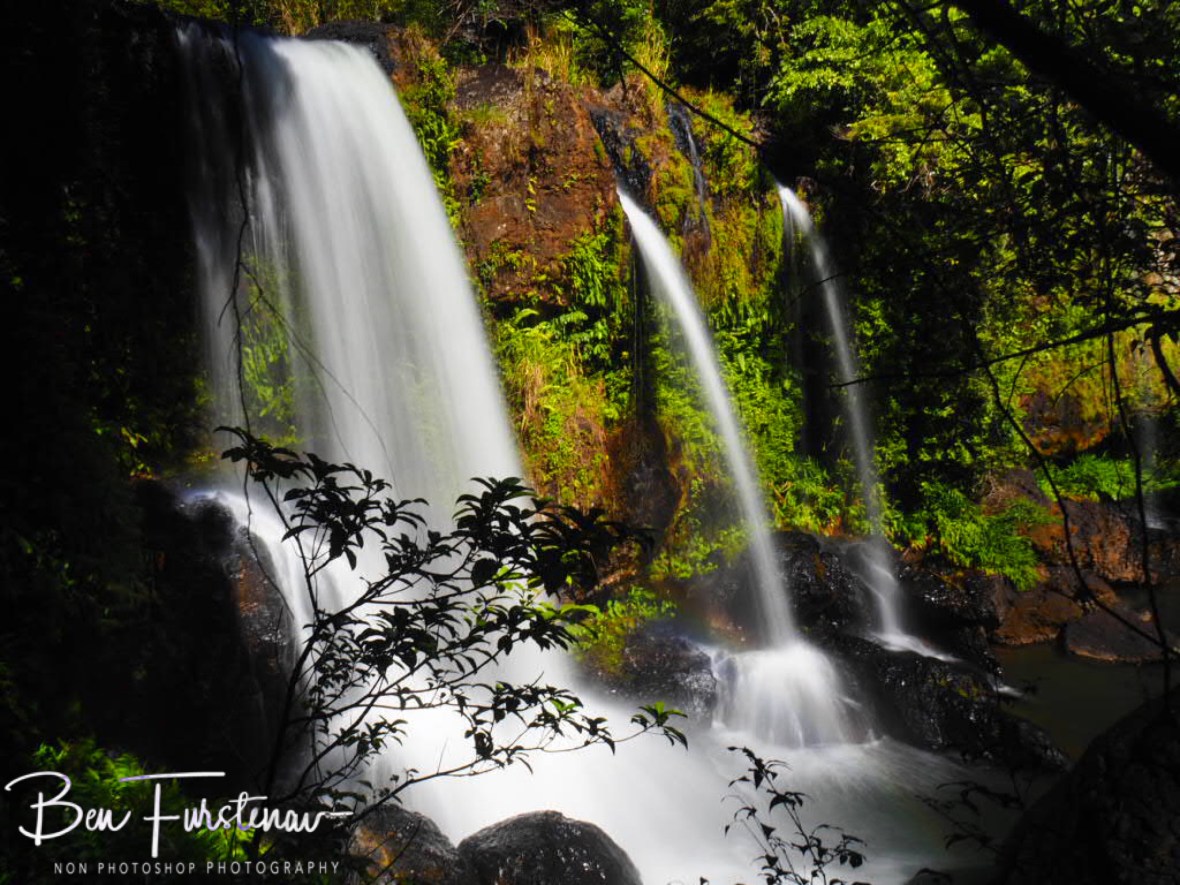 Signs of life and splendour at Atherton Tablelands, Far North Queensland, Australia 