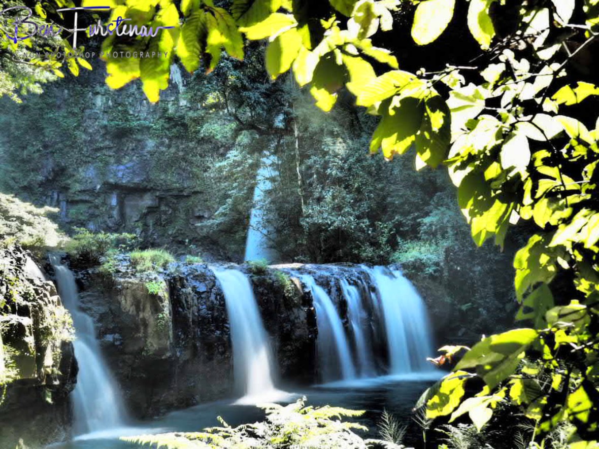 Natural green frame at Atherton Tablelands, Far North Queensland, Australia