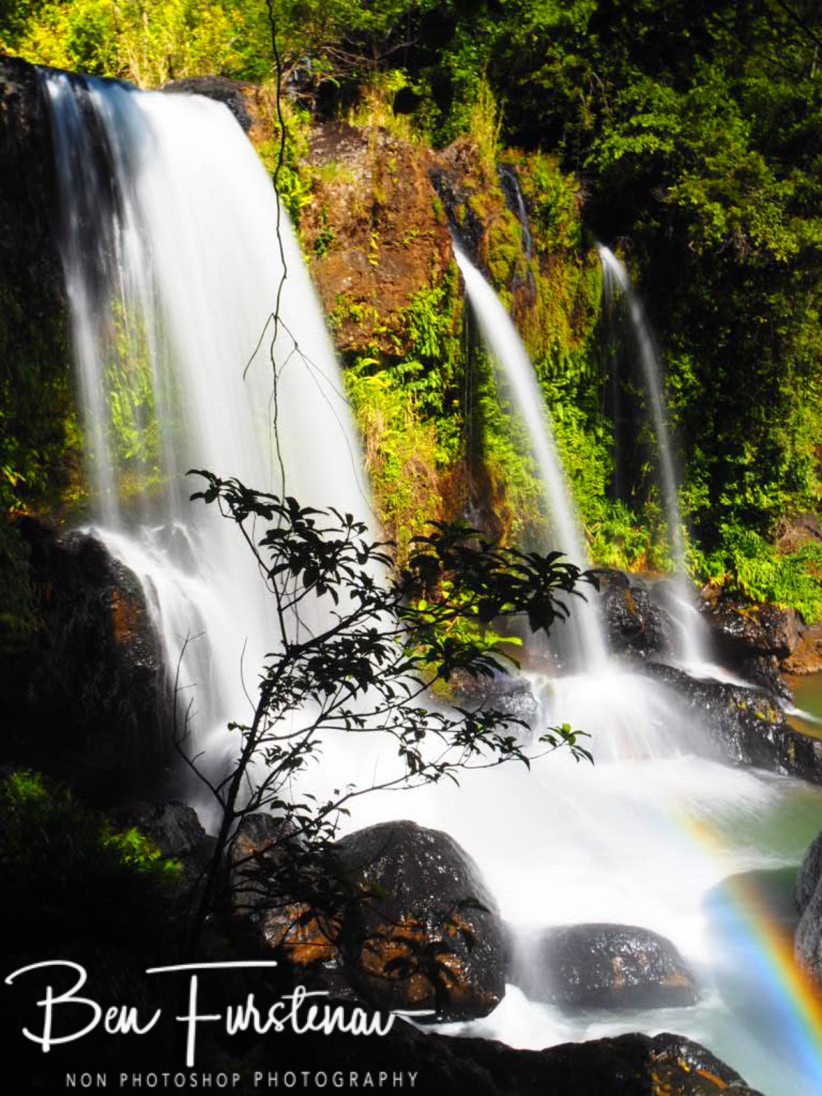 Misty rainbow at Atherton Tablelands, Far North Queensland, Australia 