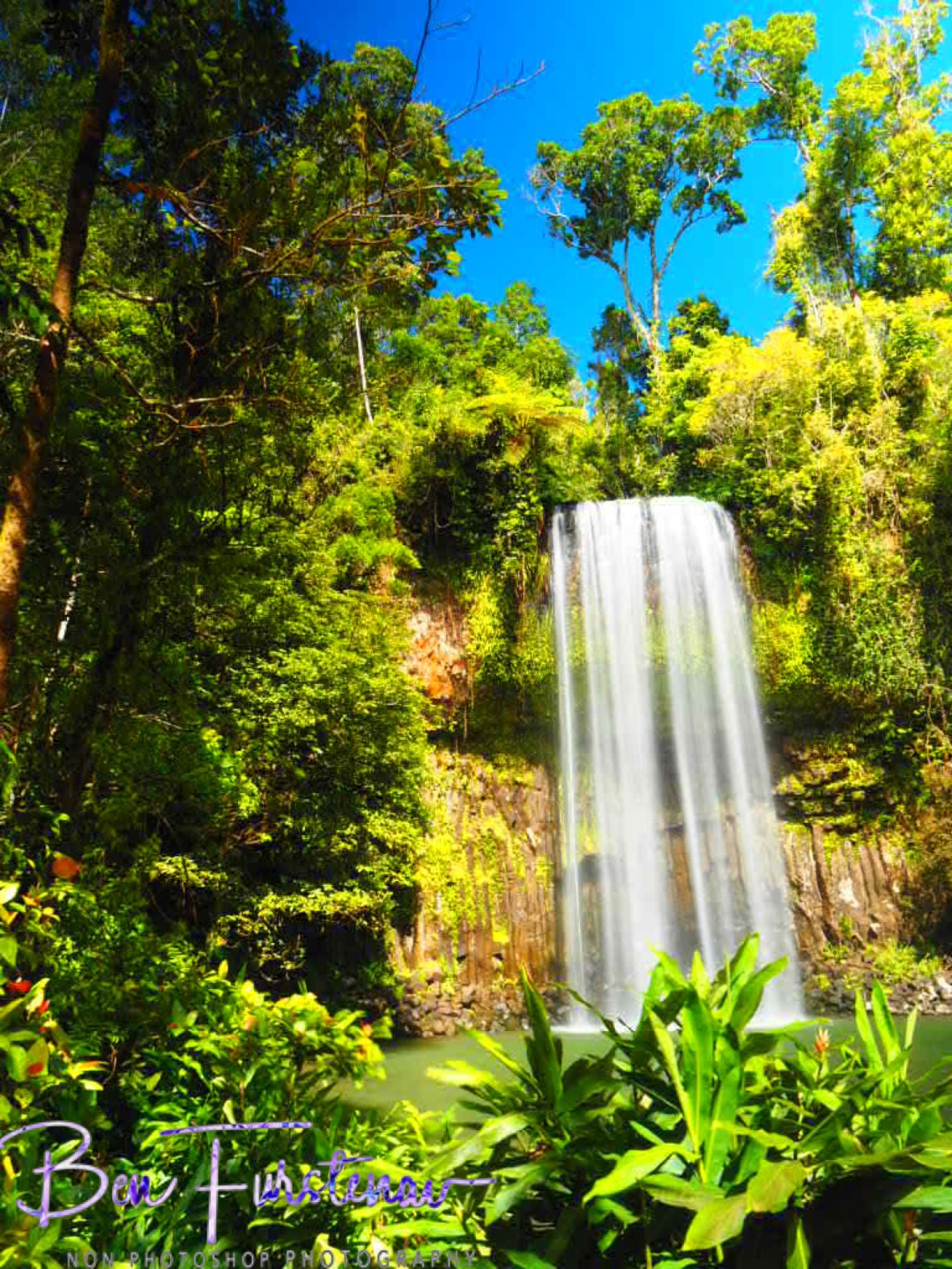 Green and blue colour spectrum at Atherton Tablelands, Far North Queensland, Australia